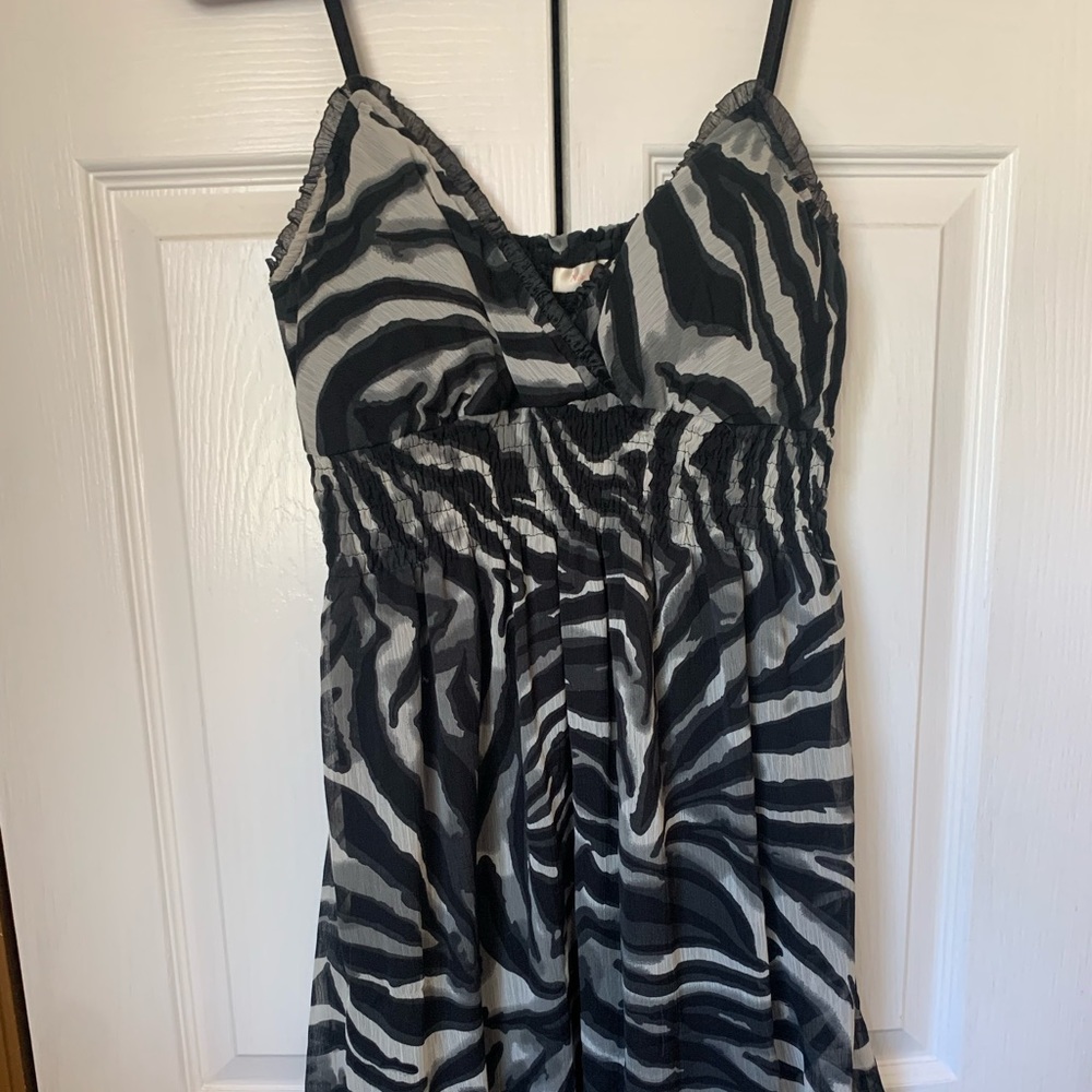 Zebra Dress